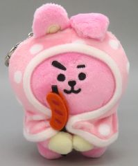 [중고] 봉제인형 마스코트·봉제인형 배지 COOKY(정국) 담요 옷장품 키링(CAMPFIRE) [BT21]