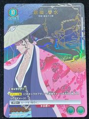 PSA10 ポケモンカードゲーム ミズゴロウ 005/ADV-P マクドナルド