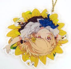 中古】コレクションカード(男性) SHOW-WA ＆ MATSURI/橋爪健二/CD