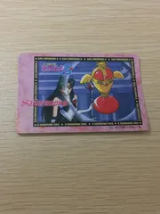EG115 美少女戦士セーラームーンS 美少女戦士セーラームーン バンプレカード カード セーラープルート トレカ 24 バンプレスト カードダス