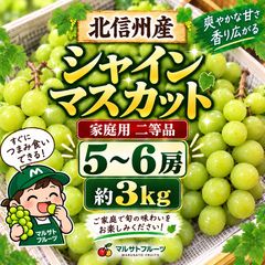 シャインマスカット 粒、軸売り　たっぷり5kg 特別価格 シャインマスカット 粒、軸売り たっぷり5kg - メルカリ