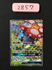 ミュウツー ポケモン バンダイ カードダス キラ 1997 [1519] - メルカリ