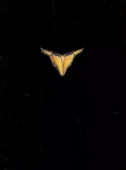 【中古】アニメDVD ファイブスター物語