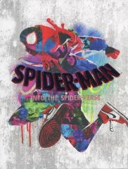 [Used] Anime Blu-ray Disc Spider-Man: Into the Spider-Verse Premium Edition [First Press Limited Edition]