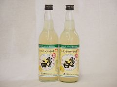 レモン酎ハイの素 富士白 25度 中野BC 和歌山県 600ml×2
