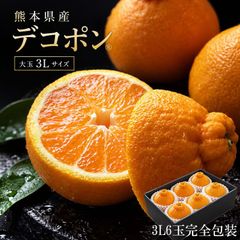 不知火（デコポン）大中小混ざりサイズ 20キロ熊本県産 楽天市場