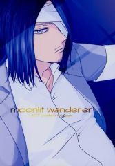 [중고] 여성용 일반 동인지(BL 포함) ≪진격의 거인≫ moonlit wanderer / 빈지 (엘렌×리바이) / 빈지