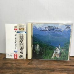未来日記 12巻/【作者】えすのサカエ/GF-0225037846-YP/GF52651 - メルカリ