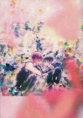 [중고] 여성용 일반 동인지(BL 포함) ≪진격의 거인≫ 첫사랑 / HIMEMIKO (리바이×엘렌) / ROCK'N'DOLLESS