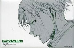 [중고] 배지 핀스 리바이 (가로 방향) [진격의 거인 WIT STUDIO 스퀘어캔 배지 컬렉션 제2탄]