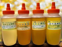 希少！特選国産みかん・あかしや生はちみつ600g2本 - メルカリ
