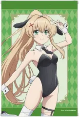 【新品】タペストリー 紬ヴェンダース 描き下ろし バニーガールver. B2タペストリー 「TVアニメ Summer Pockets」