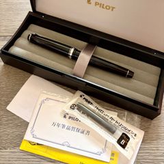 POLOT パイロット 万年筆 専用箱付き 14K 585 SF エラボー 樹脂軸