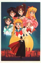 ムービック 美少女戦士セーラームーンR（集合）【1293GB】 ラミカ