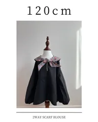 2way scarf blouse d