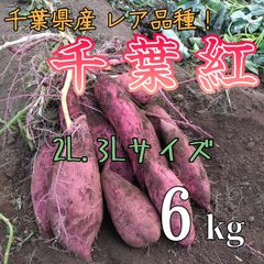 訳あり紅はるか 20kg さつまいも 農家直送 - メルカリ