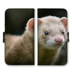 iPhone18 ProMAX ケース 手帳型 アイフォン18プロマックス スマホケース 携帯ケース フェレット イタチ 動物 アニマル 写真 もふもふ モフモフ 可愛い かわいい 草原 緑 グリーン スマホカバー カラー05