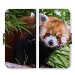 かんたんスマホ5 ケース 手帳型 簡単スマホ5 スマホケース 携帯ケース レッサーパンダ 動物 アニマル 可愛い かわいい 自然 フサフサ もふもふ 写真 動物園 スマホカバー カラー02