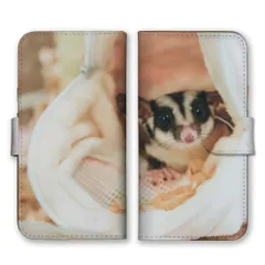 かんたんスマホ5 ケース 手帳型 簡単スマホ5 スマホケース 携帯ケース モモンガ ももんが フクロモモンガ エゾモモンガ 動物 アニマル 可愛い かわいい 癒し 写真 森 スマホカバー カラー02