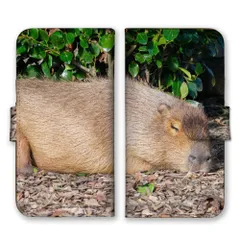かんたんスマホ5 ケース 手帳型 簡単スマホ5 スマホケース 携帯ケース カピバラ かぴばら 動物 アニマル あにまる もふもふ 写真 可愛い かわいい スマホカバー カラー03