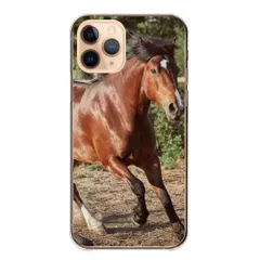 arrows Alpha2 F-51G ケース カバー アローズ アルファ2 スマホケース ハードケース 馬 競馬 乗馬 写真 ウマ おしゃれ カッコイイ かっこいい サラブレット 写真 カラー08