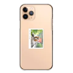 arrows Alpha2 F-51G ケース カバー アローズ アルファ2 スマホケース ハードケース コーギー ハリネズミ あらいぐま リス シロクマ ミーアキャット 写真 動物 透明ケース クリア カラー09