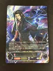 ハリー・ポッターカードゲーム プロモ プレミアム決闘 上位賞 ハリー