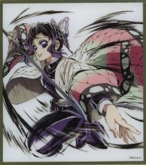 [Used] Paper products 4. Phalaenopsis Shinobu(White background) Acrylic art board "Real WEBSHOP Lottery & WEBSHOP Lottery Demon Slayer: Kimetsu no Yaiba the Movie: Infinity Castle Chapter 1 Akaza's Return Countdown and In-Screening Post Illustration Group C" C38 Prize
