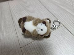 NAKAJIMA ナカジマ　アライグマ　ぬいぐるみ キーホルダー マスコット NAKAJIMA ナカジマ 初期 アライグマ ぬいぐるみ - メルカリ