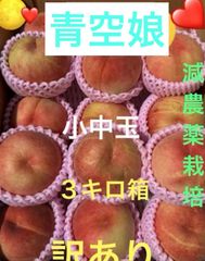 減農薬栽培ゆーこプロフ必読 - メルカリShops