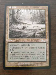 産卵池　ウルザズ・レガシー　日本語版