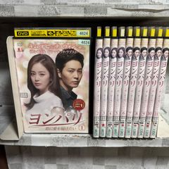 中国ドラマ DVD 星に誓う恋 恋恋不忘 全巻セット 1-17巻 ジェリー