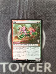 MTG 世慣れた見張り、デルニー 日本語 プロモスタンプ版 1枚 - メルカリ