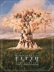 新品未開封☆ 女弁護士 高林鮎子シリーズ コレクターズDVD Vol.2 [DVD