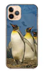 iPhone18 ProMAX ケース カバー アイフォン18プロマックス スマホケース ハードケース ペンギン 王様ペンギン オウサマペンギン コウテイ 動物 アニマル 写真 可愛い かわいい ブルー カラー04