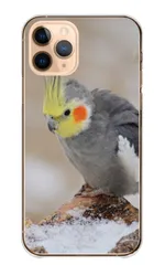 iPhone18_Pro ケース カバー アイフォン18プロ スマホケース ハードケース オカメインコ インコ おかめいんこ 鳥 小鳥 バード ペット 可愛い 写真 イエロー グリーン カラー01