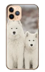 arrows Alpha2 F-51G ケース カバー アローズ アルファ2 スマホケース ハードケース サモエド犬 大型犬 白い犬 仔犬 動物 ペット 可愛い かわいい 写真 雪 ロシア ホワイト カラー02