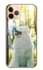 arrows Alpha2 F-51G ケース カバー アローズ アルファ2 スマホケース ハードケース サモエド犬 大型犬 白い犬 仔犬 動物 ペット 可愛い かわいい 写真 雪 ロシア ホワイト カラー04
