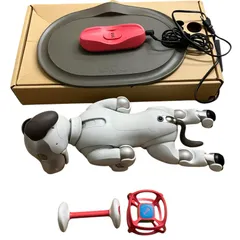 170971 通電確認のみ SONY ソニー ペットロボット　AIBO アイボ ERS-1000