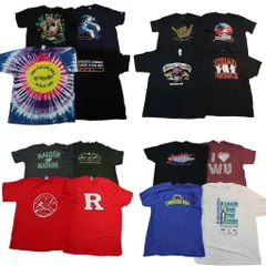 古着卸 まとめ売り プリント Tシャツ 16枚セット ( メンズ XL ) カレッジ風 パイレーツ スカル アニマル ネコ 中古 古着 NG8531