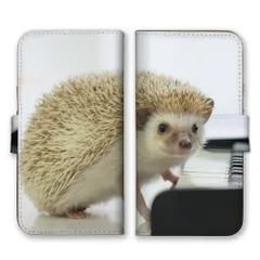 iPhone18_Pro ケース 手帳型 アイフォン18プロ スマホケース 携帯ケース ハリネズミ はりねずみ 針鼠 動物 アニマル 可愛い かわいい おしゃれ 写真 スマホカバー カラー10