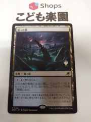 MTG 湿った墓 1枚 - メルカリ