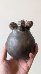 Ramat Planter #474 So.SQUARE検索: 植木鉢 陶器鉢 作家鉢 プランター