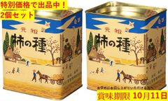 1/12 三国虎将魂 リミテッドエディション 常勝将軍趙子龍 (趙雲