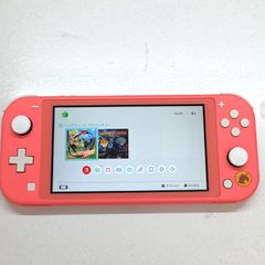 任天堂 Nintendo Switch Lite グレー 本体 動作確認済 液晶難あり