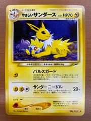 未開封 ポケパークのジラーチ 050/PCG-P ☆ポケカ ポケモンカード