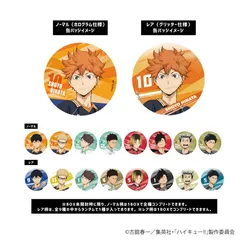 トレーディング缶バッジ(レア入り)「ハイキュー!!」01/全10種(ノーマル9種/レア1種（ランダム））BOXセット 新品未開封品