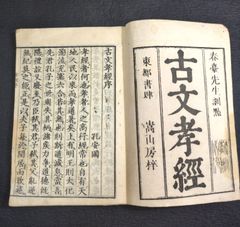 大昔の絵本】江戸期版『児雷也豪傑譚』二編 上巻 現代語訳付き！忍者