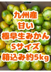 食品 甘♡馬♡ジューシィ♡幸せの味♡蒲郡のハウスみかん♡