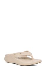 テバ レディース シューズ サンダル TevapreTrail Flip Flop Birch